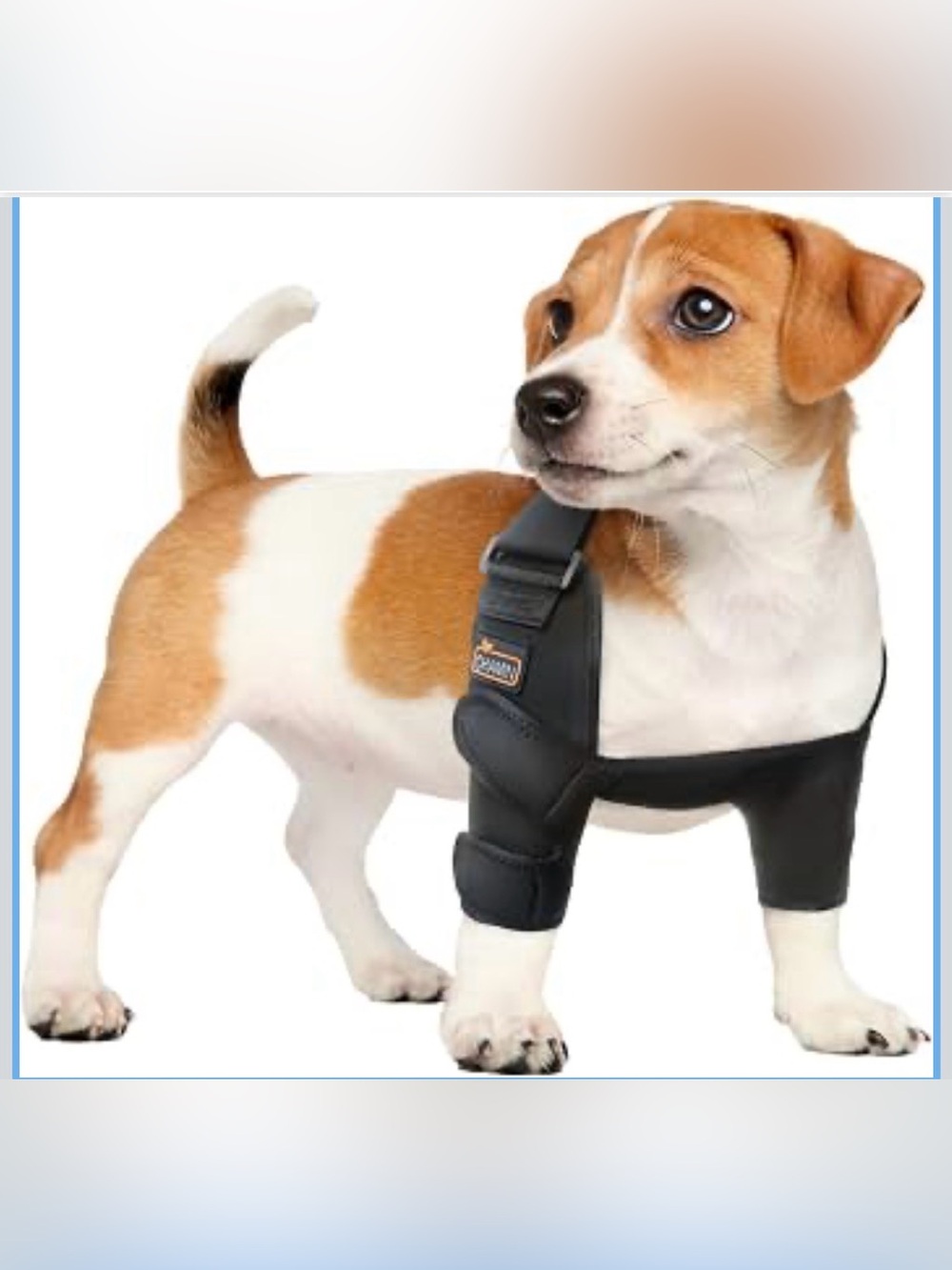 Dog Elbow Brace For Shoulder And Front Leg, Dog Elbow Protector Pads 2044/Dc-1